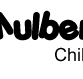 Mulberry Tree Childcare Tuart Hill - Child Care Find