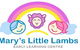 Mary's Little Lambs Early Learning Centre - thumb 0
