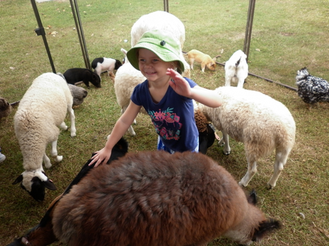 Eastside Little Learners Child Care Centre - Child Care Find 1