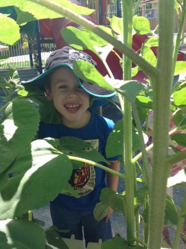 Central Gardens Child Care Pre School - Child Care Find 2