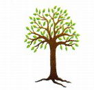 Kadina Child Care Centre - Child Care Find