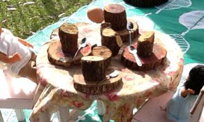 Honeybee Preschool - Child Care Find 2