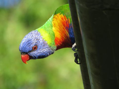 Elite Edge Sports & Learning Centre - Child Care Find 2