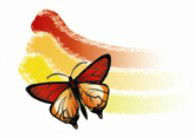 Capalaba Kindergarten - Child Care Find 0