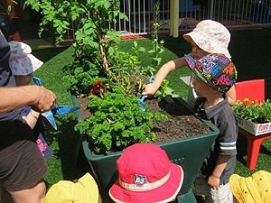 Noosaville Child Care & Pre School Centre - Child Care Find 1