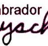 Labrador Playschool - Child Care Find
