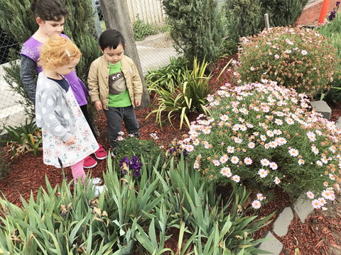 Wonder World Play Centre - Child Care Find 5