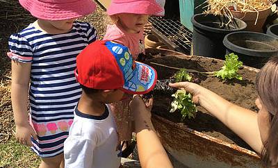 Five Star Family Day Care - Child Care Find 3