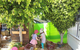 Charlestown East Educational Preschool - thumb 2