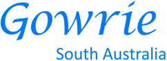 Underdale SA Child Care Find