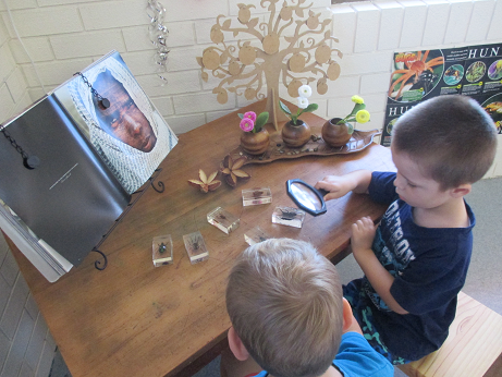 Cradle To Crayons Education & Care - Child Care Find 8