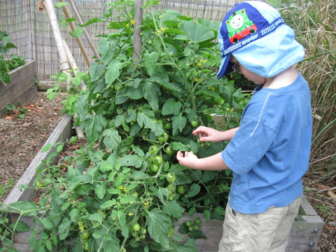 Parklands Community Preschool (Kariong) - Child Care Find 3