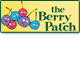 Berry Patch Preschool - Child Care Find