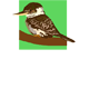 Little Kookas Kingsthorpe Childcare - Child Care Find