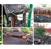 Willmore Kindergarten  Preschool - Child Care Find